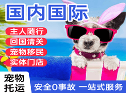衢州机场货运国际宠物托运 【国